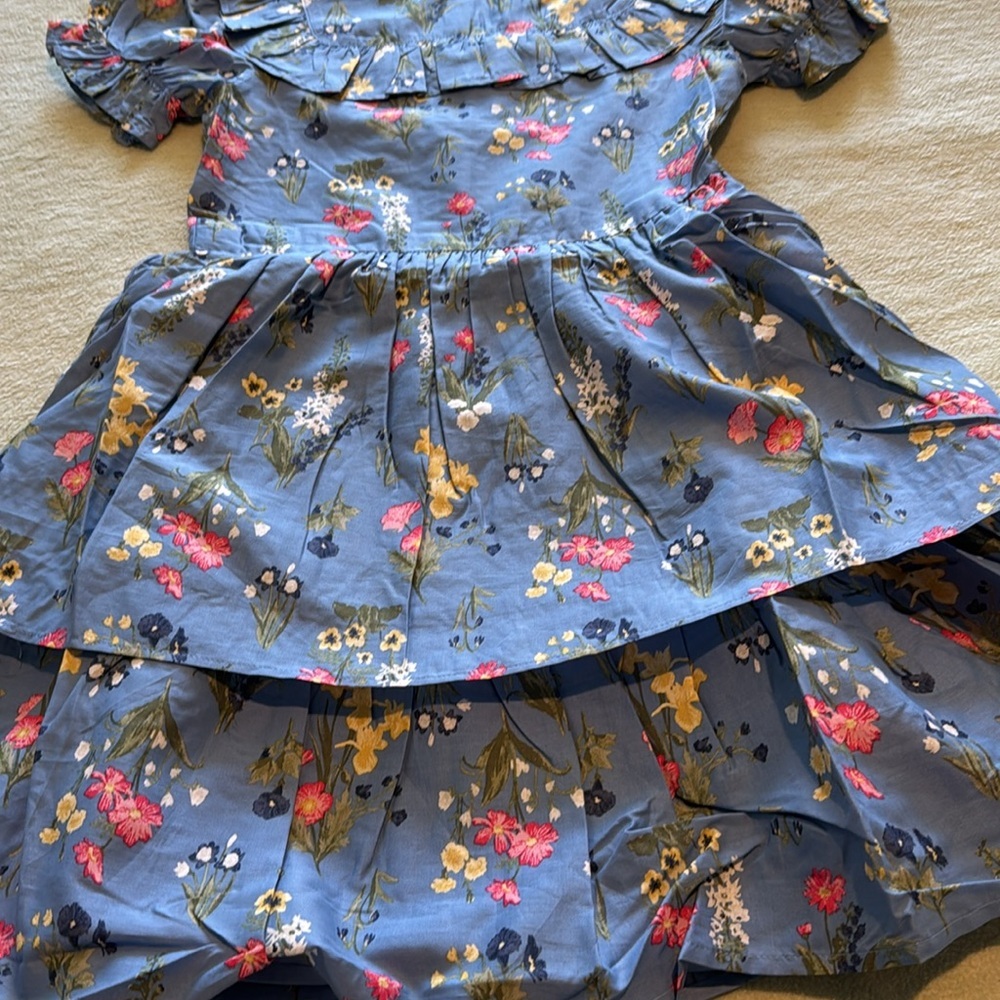 Cotton Floral Blue Ruffle Dress - Picture 5 of 8